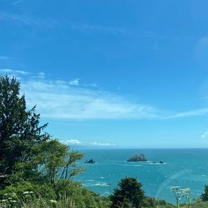 Meet your Posher, Tayler